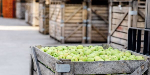 Food Warehouses