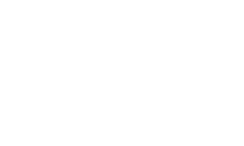 Fleet Clean logo