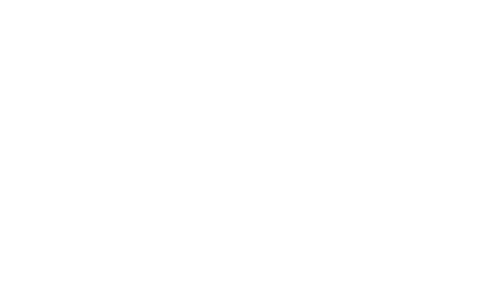 Fleetwash logo